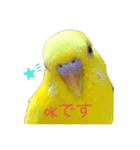 喜久蔵と申します。（個別スタンプ：1）