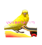 喜久蔵と申します。（個別スタンプ：4）