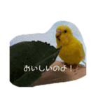喜久蔵と申します。（個別スタンプ：5）