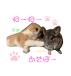 わむておぷー。（個別スタンプ：1）