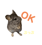 わむておぷー。（個別スタンプ：7）