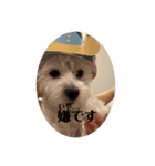 可愛いわんこスタンプ(犬)（個別スタンプ：3）