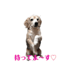 じぇり岡じぇり男1（個別スタンプ：2）