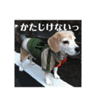 じぇり岡じぇり男1（個別スタンプ：5）