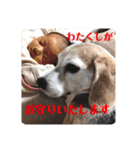 じぇり岡じぇり男1（個別スタンプ：9）