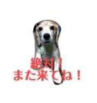 じぇり岡じぇり男1（個別スタンプ：13）