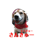 じぇり岡じぇり男1（個別スタンプ：14）
