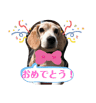 じぇり岡じぇり男1（個別スタンプ：22）
