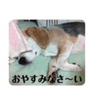 じぇり岡じぇり男1（個別スタンプ：23）