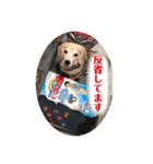 じぇり岡じぇり男1（個別スタンプ：30）