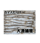 海のお魚スタンプ(J)（個別スタンプ：10）
