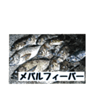海のお魚スタンプ(J)（個別スタンプ：11）