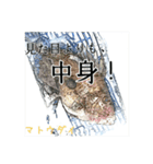 海のお魚スタンプ(J)（個別スタンプ：12）