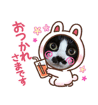 くろさんちびさんチョロさんココさん（個別スタンプ：2）
