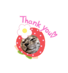 くろさんちびさんチョロさんココさん（個別スタンプ：3）