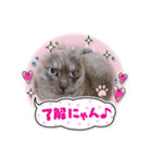 くろさんちびさんチョロさんココさん（個別スタンプ：5）