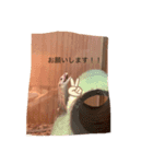 我が家のカナヘビたち❗（個別スタンプ：7）