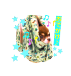 チョコちゃんスタンプ♡*(ごきげん編)（個別スタンプ：1）