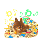 チョコちゃんスタンプ♡*(ごきげん編)（個別スタンプ：7）