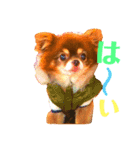 チョコちゃんスタンプ♡*(ごきげん編)（個別スタンプ：15）