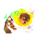チョコちゃんスタンプ♡*(ごきげん編)（個別スタンプ：21）