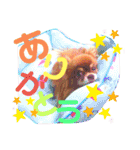 チョコちゃんスタンプ♡*(ごきげん編)（個別スタンプ：34）