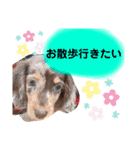 O.Rinon Stamp②（個別スタンプ：9）