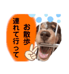 O.Rinon Stamp②（個別スタンプ：12）
