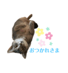チエル（個別スタンプ：3）