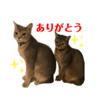 チエル（個別スタンプ：7）