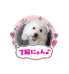ANIMALzuu vol.2（個別スタンプ：2）