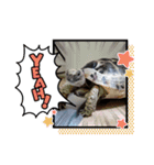 ANIMALzuu vol.2（個別スタンプ：5）