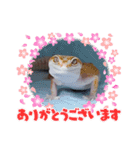 ANIMALzuu vol.2（個別スタンプ：8）