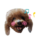 ANIMALzuu（個別スタンプ：1）