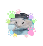ANIMALzuu（個別スタンプ：4）