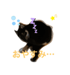 黒柴 ぎんがちゃん（個別スタンプ：18）
