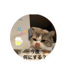 あおとちゃ〜としゅっちゃん（個別スタンプ：5）