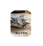 あおとちゃ〜としゅっちゃん（個別スタンプ：12）