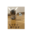 あおとちゃ〜としゅっちゃん（個別スタンプ：14）