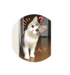 あおとちゃ〜としゅっちゃん（個別スタンプ：16）