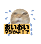 ハルチィースタンプ（個別スタンプ：6）