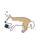 クンクンあいさつ（個別スタンプ：3）