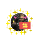クサガメブラザーズ（個別スタンプ：3）