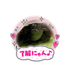 クサガメブラザーズ（個別スタンプ：9）