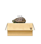 クサガメブラザーズ（個別スタンプ：12）