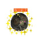 クサガメブラザーズ（個別スタンプ：13）