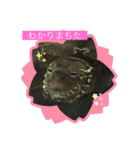 クサガメブラザーズ（個別スタンプ：15）