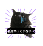 nekoたち（個別スタンプ：3）