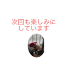 海苔巻あられ（個別スタンプ：6）