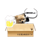 犬犬しい犬①（個別スタンプ：3）
